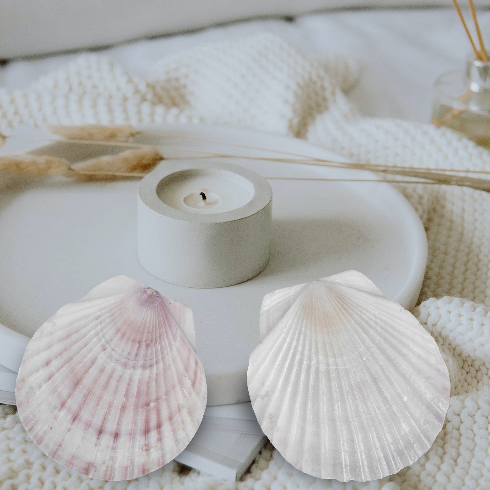 Mom'S Home Cooking - 10 coquilles de pétoncle naturelles pour