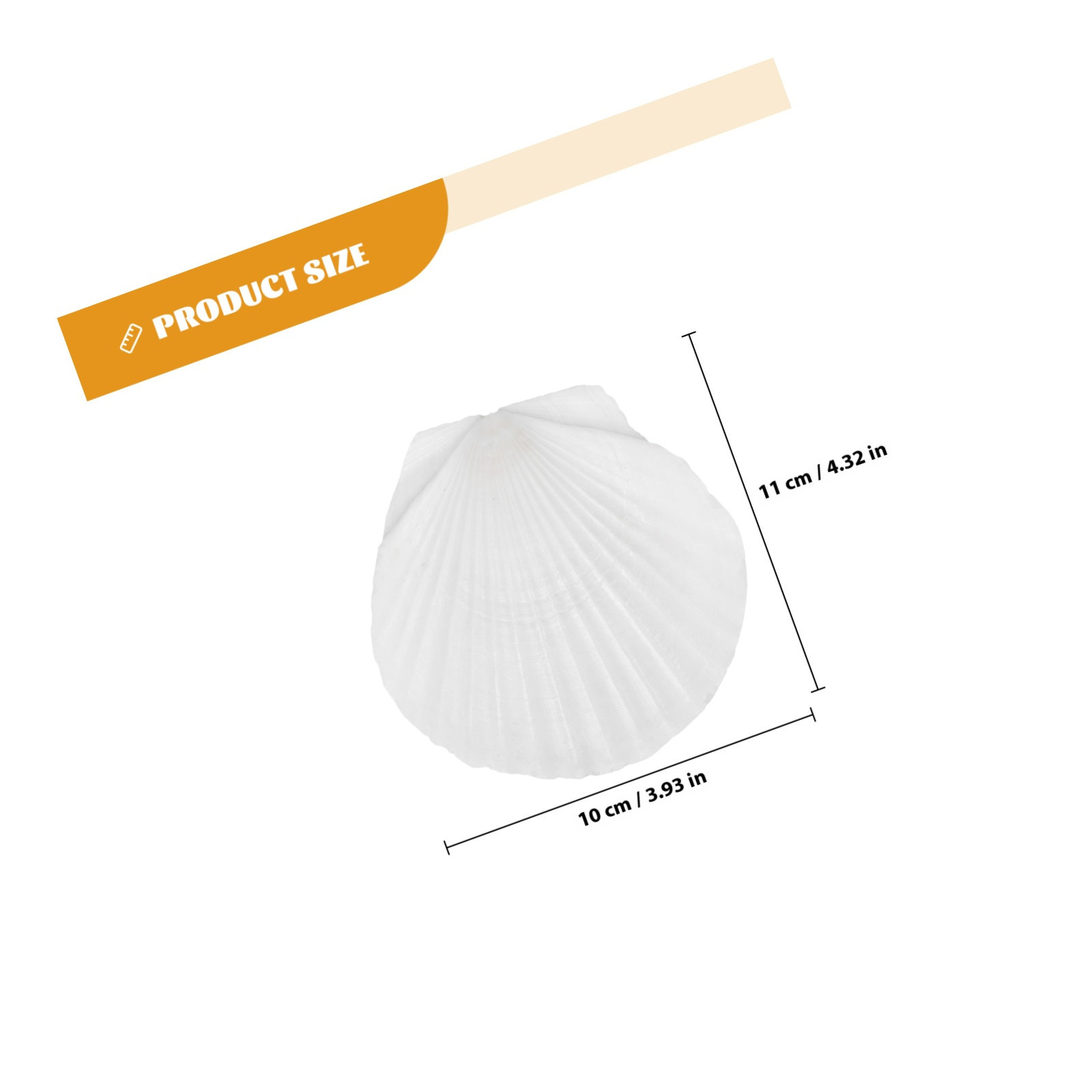 10 coquilles de pétoncle natur - Mom'S Home Cooking avis et prix